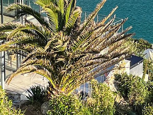 Sea point -  filming photoshoot location-61