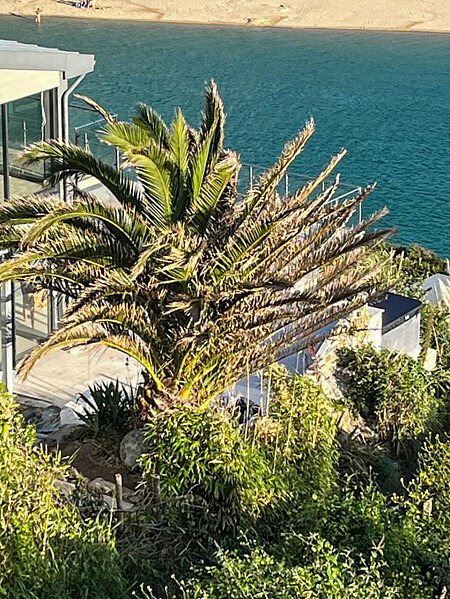 Sea point -  filming photoshoot location-61