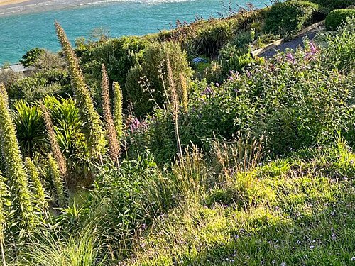 Sea point -  filming photoshoot location-63