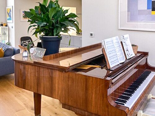 Longhouse -  filming photoshoot location-06