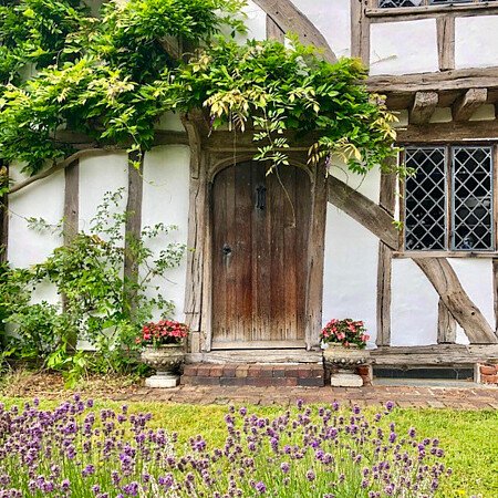 Birch high-  filming photoshoot location-42