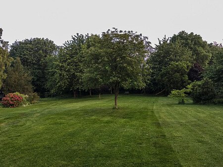 Birch high-  filming photoshoot location-46