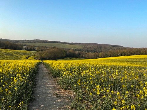 Birch high-  filming photoshoot location-49