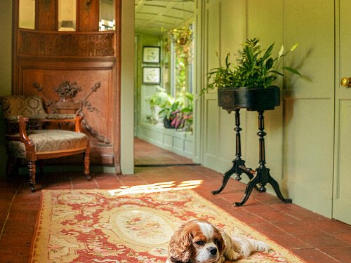 Image for Location 2393