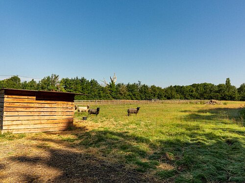 Knights -  filming photoshoot location-38