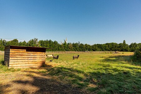 Knights -  filming photoshoot location-38