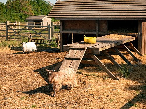 Image for Location 2393