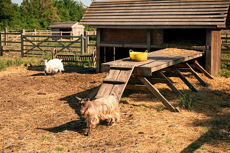 Knights -  filming photoshoot location-40