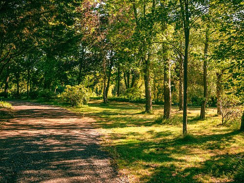 Image for Location 2393