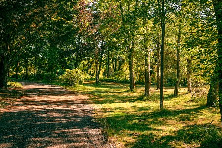 Knights -  filming photoshoot location-46