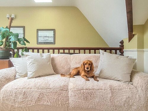 Vicorage -  filming photoshoot location-38