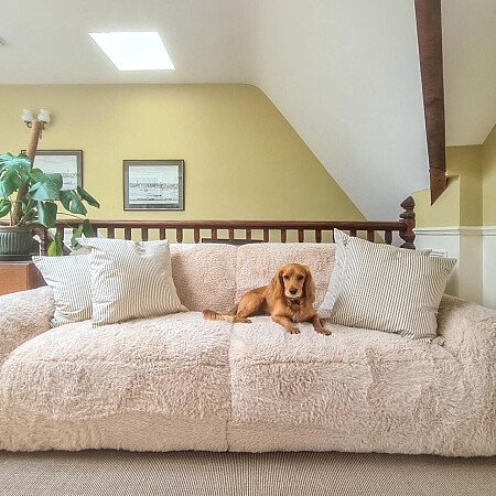 Vicorage -  filming photoshoot location-38