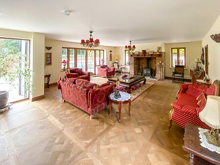 Pigeon-  filming photoshoot location-04