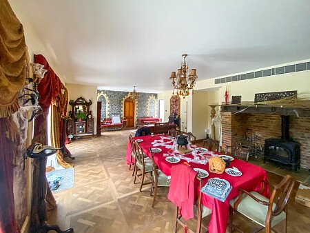 Pigeon-  filming photoshoot location-08