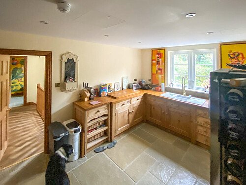 Pigeon-  filming photoshoot location-12