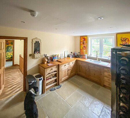 Pigeon-  filming photoshoot location-12