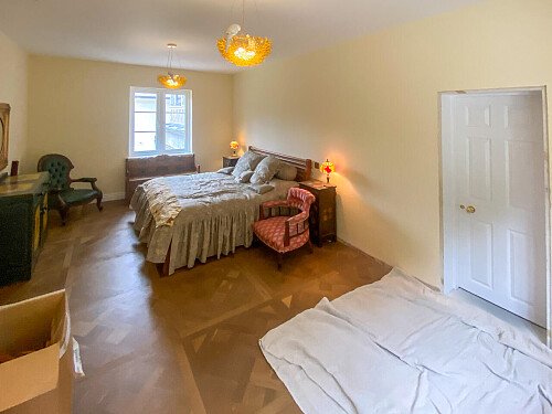 Pigeon-  filming photoshoot location-30