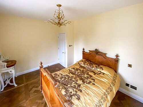 Pigeon-  filming photoshoot location-32