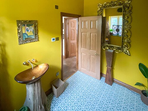 Pigeon-  filming photoshoot location-39