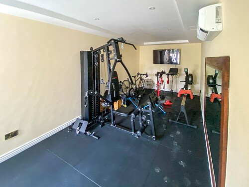 Pigeon-  filming photoshoot location-42