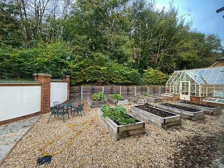 Pigeon-  filming photoshoot location-43