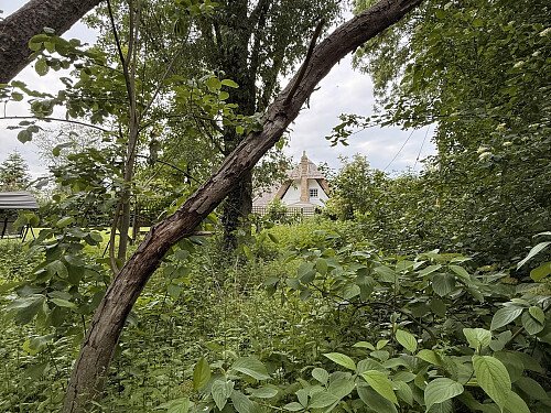 Image for Location 2407