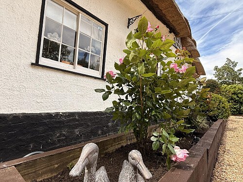 Image for Location 2407