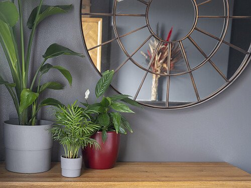 Image for Location 2436