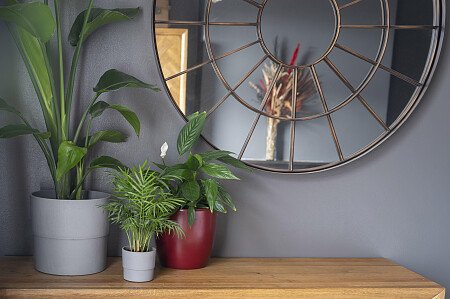 17 Kingswood Road Bedroom 05