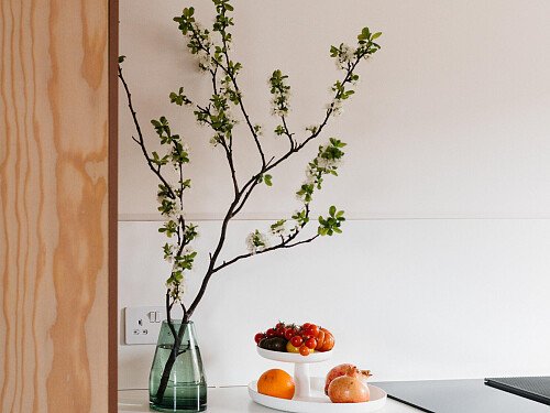 Image for Location 2437