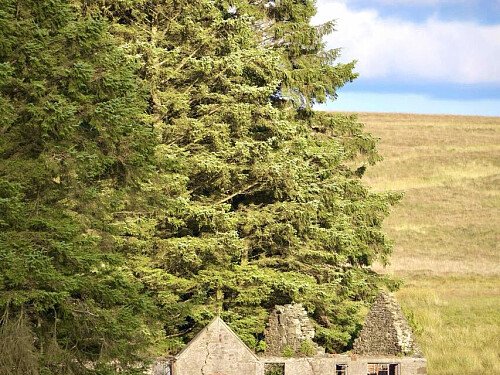 Image for Location 2439