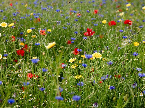 Lower Austin Lodge Farmhouse Countryside1