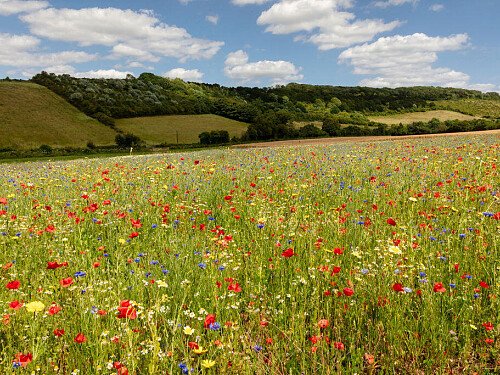 Lower Austin Lodge Farmhouse Countryside2