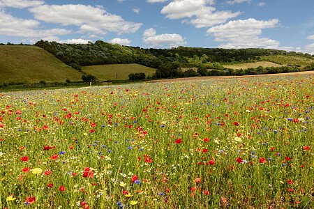 Lower Austin Lodge Farmhouse Countryside2