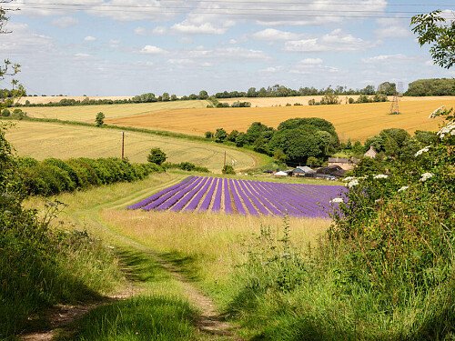 Image for Location 2451