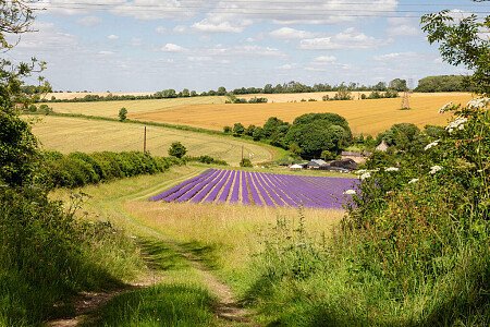 Lower Austin Lodge Farmhouse Countryside3