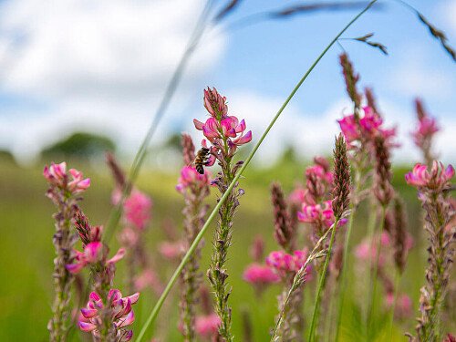 Lower Austin Lodge Farmhouse Countryside4