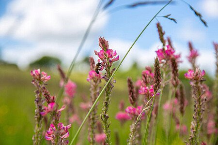 Lower Austin Lodge Farmhouse Countryside4