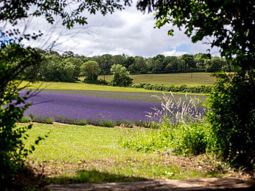 Lower Austin Lodge Farmhouse Countryside8