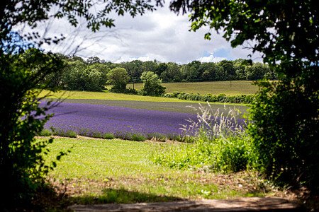 Lower Austin Lodge Farmhouse Countryside8