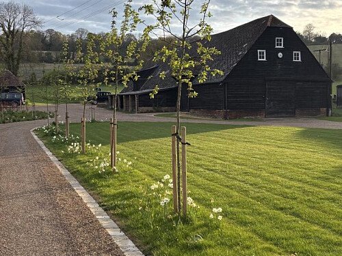 Image for Location 2451