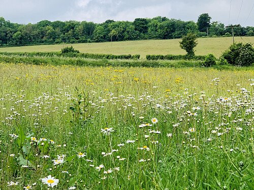 Image for Location 2452