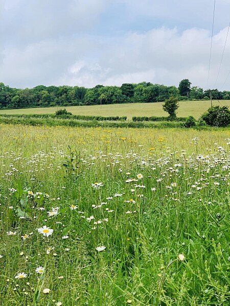 Lower Austin Lodge Farm exteriors6