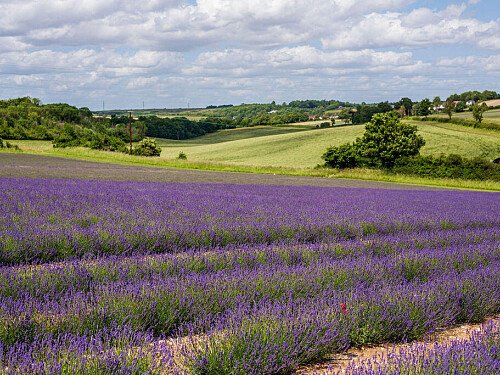 Lower Austin Lodge Farm exteriors17