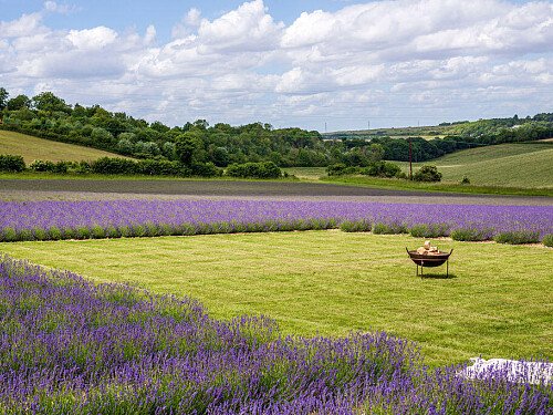 Lower Austin Lodge Farm exteriors18