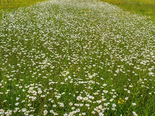 Lower Austin Lodge Farm exteriors20
