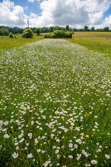 Lower Austin Lodge Farm exteriors20