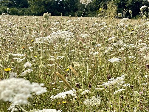 Lower Austin Lodge Farm exteriors10