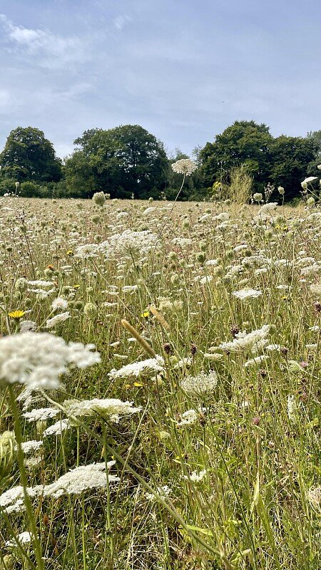 Lower Austin Lodge Farm exteriors10
