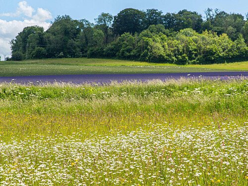 Lower Austin Lodge Farm exteriors22